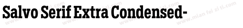 Salvo Serif Extra Condensed字体转换